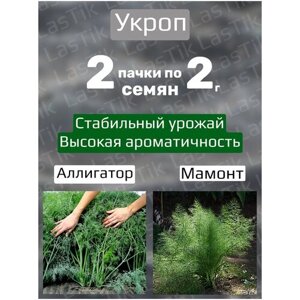Укроп Аллигатор и Мамонт 2 пакета по 2г семян
