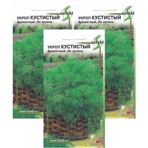 Укроп Кустистый, суперароматный и мегаурожайный, 3 упаковки по 750 семян