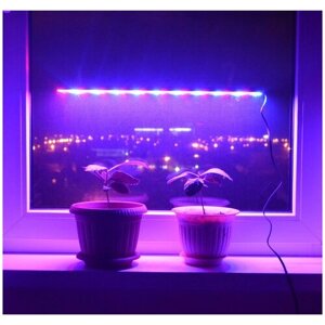 Ультратонкий фитосветильник для растений на подоконнике "Альтаир" 50 см
