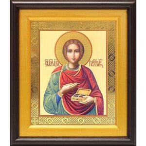Великомученик и целитель Пантелеимон (лик № 006), икона в широком киоте 21,5*25 см