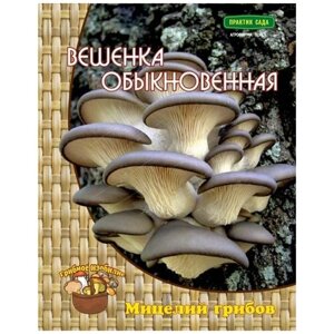 Вешенка обыкновенная (мицелий на древесном носителе)