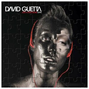 Виниловая пластинка David Guetta - Just A Little More Love 2LP