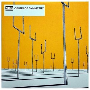 Виниловая пластинка Muse / Origin Of Symmetry (2LP)