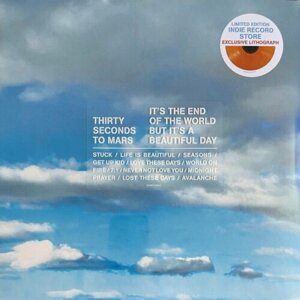 Виниловая пластинка UNIVERSAL MUSIC Thirty Seconds To Mars - It's The End Of The World But It's A Beautiful Day (Opaque Orange Vinyl)