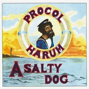 Виниловые пластинки, MUSIC ON VINYL, procol HARUM - A salty dog /remast-LP)