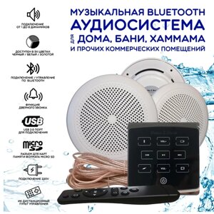 Влагостойкая bluetooth аудиосистема для дома, бани, сауны и хамама SW3 Black ECO (черный)
