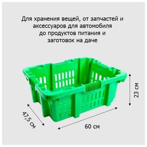 Ящик для хранения овощей и фруктов пласт. универсальный 42,5 л 600х475х230 мм (Р)