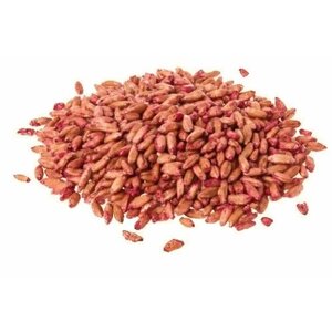 Зерно от мышей и крыс 500 гр - универсальная приманка для уничтожения грызунов. Основу составляет зерно пшеницы с добавлением кукурузы.