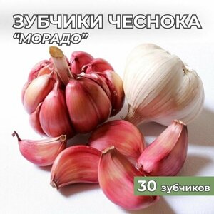 Зубчики чеснока на посадку "Морадо" 30шт