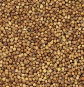 Кориандр зерно 1 кг в Краснодарском крае от компании choko-city