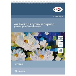 Альбом для гуаши и акрила ГАММА Студия 42 х 29.7 см (A3), 180 г/м²12 л. разноцветный