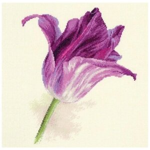 Алиса Набор для вышивания Тюльпаны. Сиреневый бархат 22 х 26 см (2-44) разноцветный