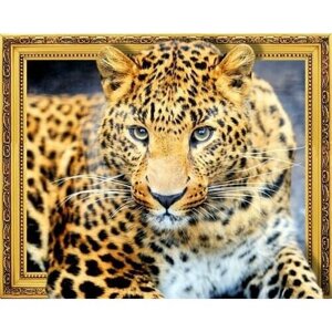 Алмазная мозаика 40x50 "Взгляд леопарда" 7DAR314