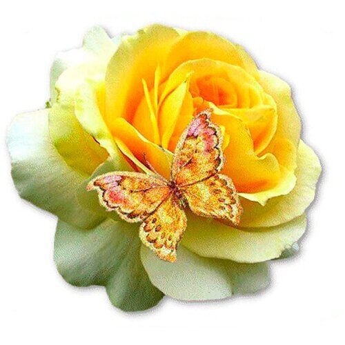Алмазная мозаика "бабочка на желтой розе", 28х38см от компании М.Видео - фото 1