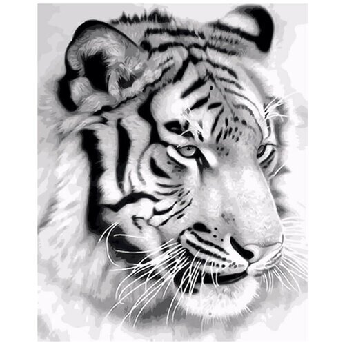 Алмазная мозаика без подрамника 30x40 см Белый тигр от компании М.Видео - фото 1