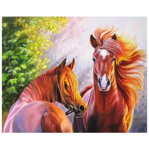Алмазная мозаика Colibri Пара лошадей 40х50 см