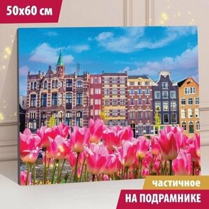 Алмазная мозаика "Дома с тюльпанами" 50x60 см