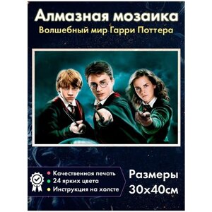 Алмазная мозаика Fantasy Earth Гарри Поттер / Гермиона / Рон Уизли