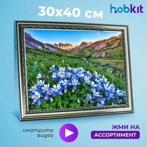 Алмазная мозаика HOBKIT "Цветы на горном озере-2 30х40 " 40х30 размер холста, от компании М.Видео - фото 1