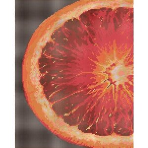 Алмазная мозаика картина Кусочек витамина 35*43,5см