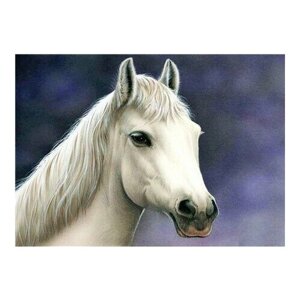 Алмазная мозаика картина стразами Белая лошадь, 30х40 см