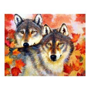 Алмазная мозаика картина стразами Два волка, 50х65 см