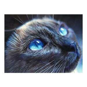 Алмазная мозаика картина стразами Голубоглазый котик, 40х50 см