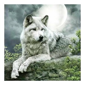 Алмазная мозаика картина стразами Волк, 30х30 см