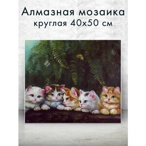Алмазная мозаика (круг) Милые котики" 40х50 см