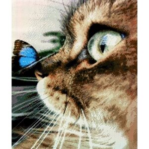 Алмазная мозаика квадратные стразы кот, кошка, майкун, шотландская , животные 40*50 полная выкладка