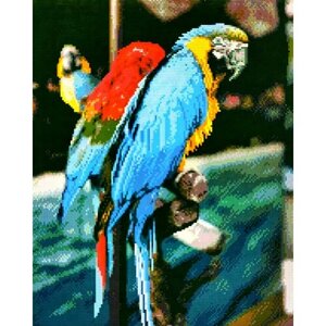 Алмазная мозаика квадратные стразы пара, 40*50 попугаи, какаду, птицы, экзотика, тропики, ара.