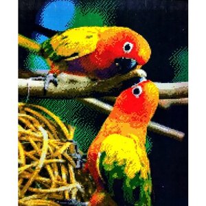 Алмазная мозаика квадратные стразы пара, неразлучники 40*50 попугаи, какаду, птицы, экзотика, тропики.