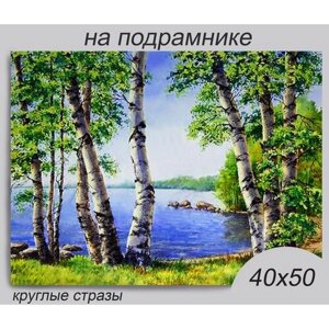 Алмазная мозаика на подрамнике 40*50 см