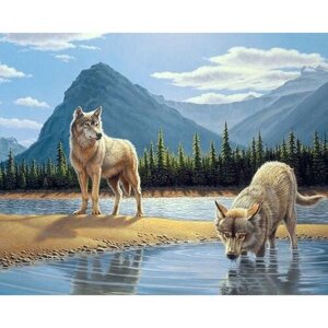 Алмазная мозаика на подрамнике 40х50 Пара волков на водопое