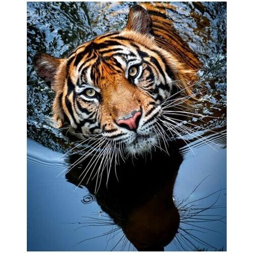 Алмазная мозаика на подрамнике 40х50 Тигр в море хищник от компании М.Видео - фото 1