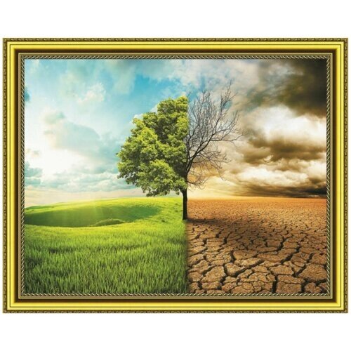 Алмазная мозаика на подрамнике (картина стразами) 40х50 Дерево на фоне поля и пустыни от компании М.Видео - фото 1