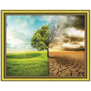 Алмазная мозаика на подрамнике (картина стразами) 40х50 Дерево на фоне поля и пустыни