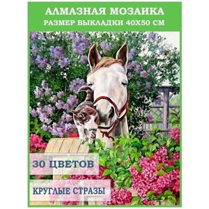 Алмазная мозаика - набор алмазной вышивки Алмазная графика Лошадь и котенок, 40х50 см