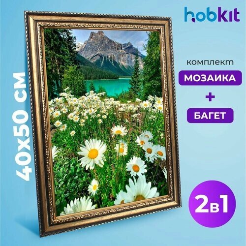 Алмазная мозаика полная выкладка HOBKIT "Озеро с ромашками 40х50+Багет золотой " , 50х40 размер холста, от компании М.Видео - фото 1
