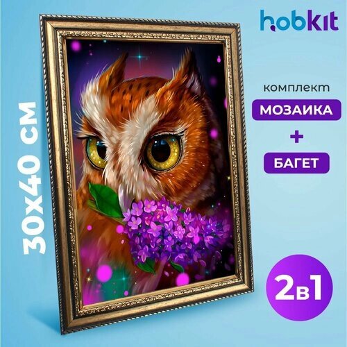 Алмазная мозаика полная выкладка HOBKIT "Сова 30х40+Багет золотой " 40х30 размер холста, от компании М.Видео - фото 1