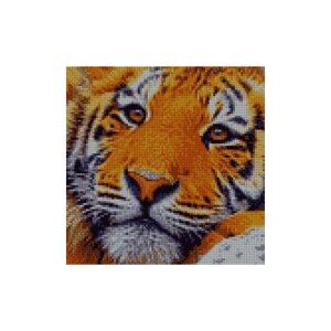 Алмазная мозаика "Полосатый шалун", 30х35 см, животные/тигр