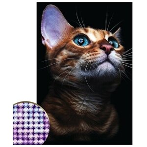 Алмазная мозаика с частичным заполнением Взгляд кошки 20 х30 см на холсте