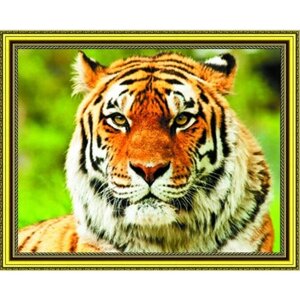 Алмазная мозаика тигр пейзаж на подрамнике 40х50см SGA3005 круглые стразы