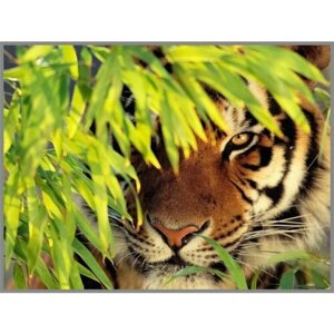 Алмазная мозаика «Тигр в засаде» 2820см, 18 цветов