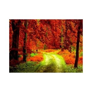 Алмазная мозаика Яркие грани «Осенний лес»37х50 см, Полная выкладка, квадратные стразы)
