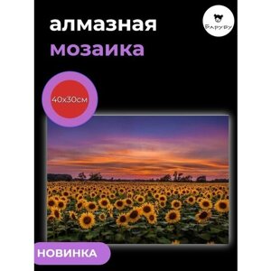 Алмазная мозаика/Живопись/Картина стразами "Подсолнухи. Закат" 40х30 см