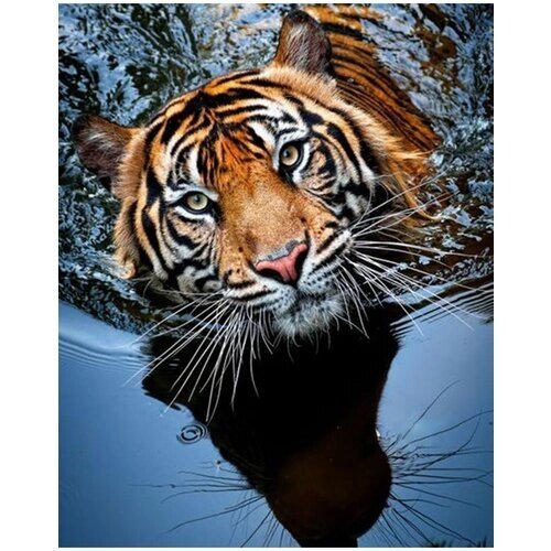 Алмазная мозайка 40х50 полная выкладка Тигр в море хищник от компании М.Видео - фото 1
