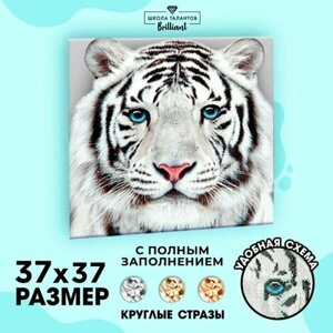 Алмазная вышивка с частичным заполнением Белый тигр, 37 х 37 см. Набор для творчества