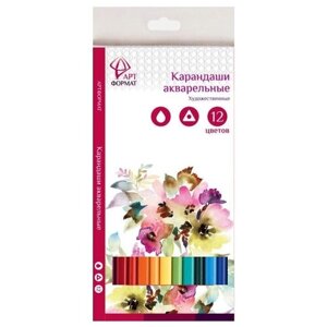 АРТформат Набор акварельных карандашей, 12 цветов (AF03-041-12) разноцветный