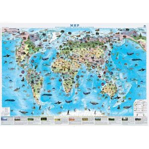 Атлас-принт Природные зоны мира-настенная карта 1:34 /размер 100х70см